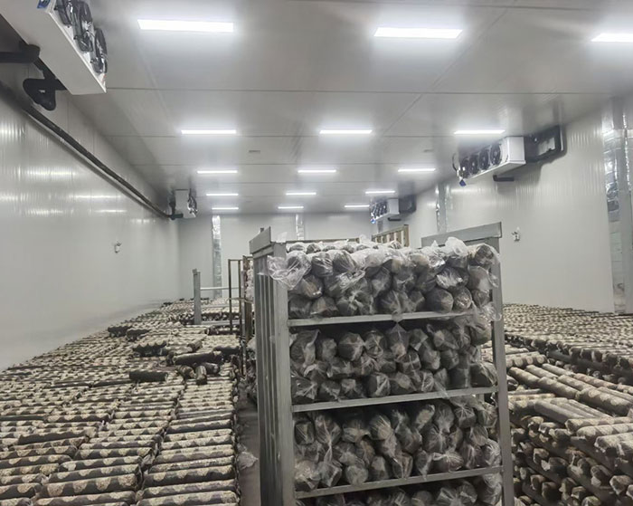 1647765361628656.jpg 菌棒養(yǎng)菌車間.jpg